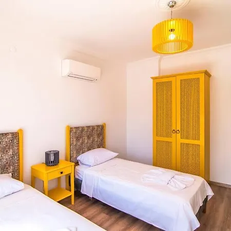 Genis Bahceli 4+1 Tatil Villasi * 페티예