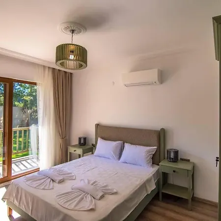 Willa Genis Bahceli 4+1 Tatil Villasi