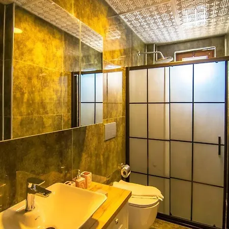 Genis Bahceli 4+1 Tatil Villasi 费特希耶